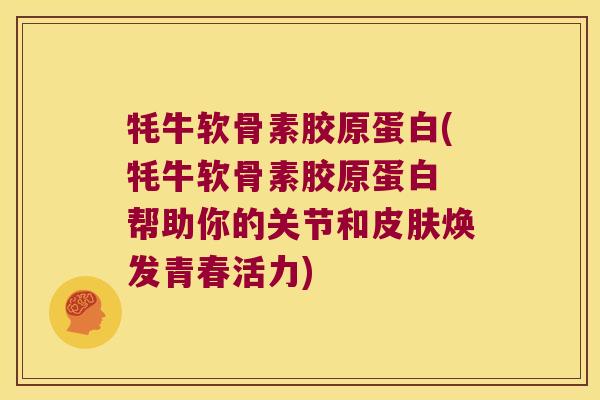 牦牛软骨素胶原蛋白(牦牛软骨素胶原蛋白 帮助你的关节和焕发青春活力) 牦牛软骨素胶原蛋白(牦牛软骨素胶原蛋白 帮助你的关节和焕发青春活力)