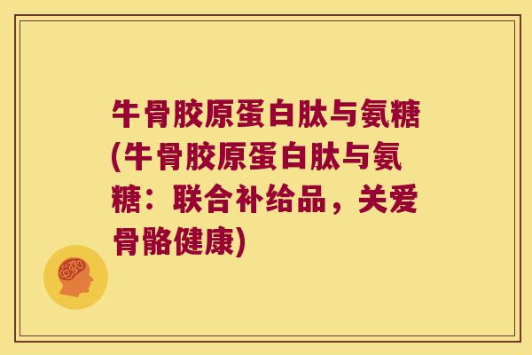 牛骨胶原蛋白肽与氨糖(牛骨胶原蛋白肽与氨糖：联合补给品，关爱骨骼健康)