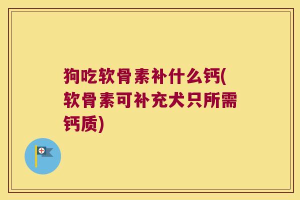 狗吃软骨素补什么钙(软骨素可补充犬只所需钙质)