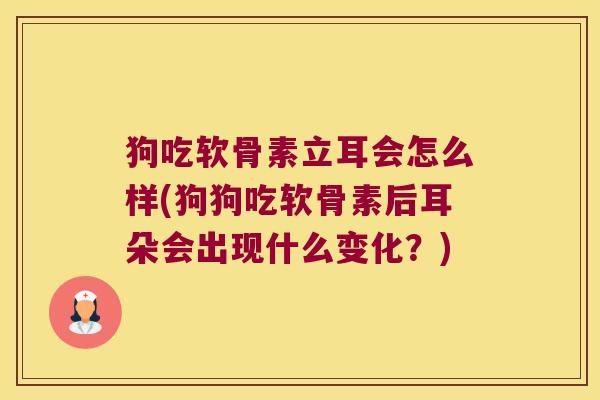 狗吃软骨素立耳会怎么样(狗狗吃软骨素后耳朵会出现什么变化?) 狗吃软骨素立耳会怎么样(狗狗吃软骨素后耳朵会出现什么变化?)