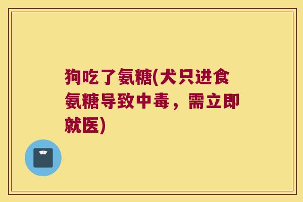 狗吃了氨糖(犬只进食氨糖导致中毒,需立即就医) 狗吃了氨糖(犬只进食氨糖导致中毒,需立即就医)