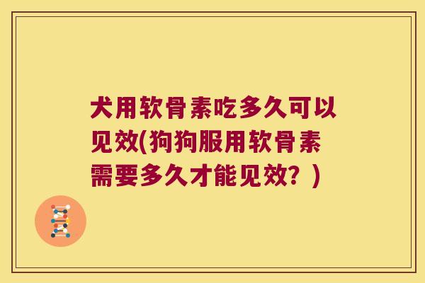 犬用软骨素吃多久可以见效(狗狗服用软骨素需要多久才能见效?) 犬用软骨素吃多久可以见效(狗狗服用软骨素需要多久才能见效?)