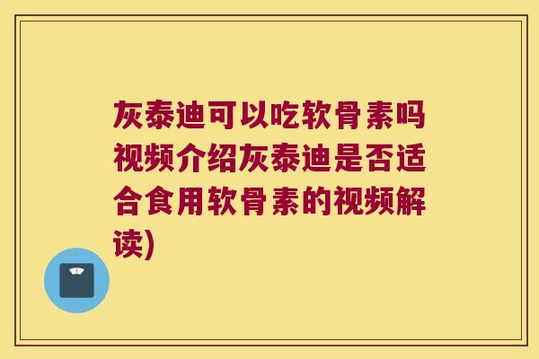 灰泰迪可以吃软骨素吗视频介绍灰泰迪是否适合食用软骨素的视频解读) 灰泰迪可以吃软骨素吗视频介绍灰泰迪是否适合食用软骨素的视频解读)
