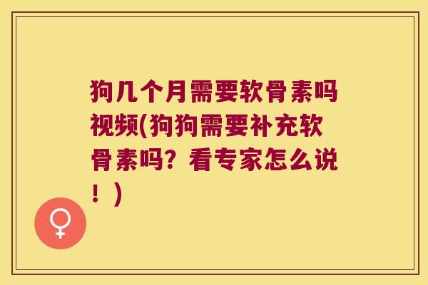 狗几个月需要软骨素吗视频(狗狗需要补充软骨素吗？看专家怎么说！)