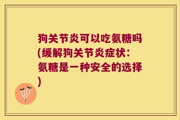 狗可以吃氨糖吗(缓解狗关节状：氨糖是一种安全的选择)