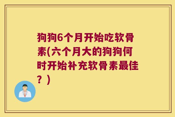 狗狗6个月开始吃软骨素(六个月大的狗狗何时开始补充软骨素佳？)