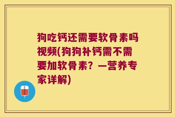 狗吃钙还需要软骨素吗视频(狗狗补钙需不需要加软骨素?—营养专家详解) 狗吃钙还需要软骨素吗视频(狗狗补钙需不需要加软骨素?—营养专家详解)