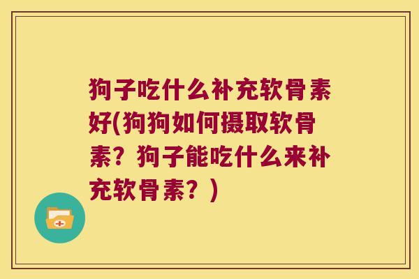 狗子吃什么补充软骨素好(狗狗如何摄取软骨素?狗子能吃什么来补充软骨素?) 狗子吃什么补充软骨素好(狗狗如何摄取软骨素?狗子能吃什么来补充软骨素?)
