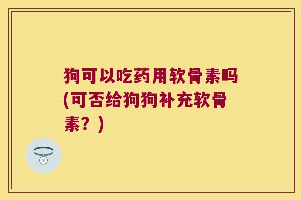 狗可以吃药用软骨素吗(可否给狗狗补充软骨素？)