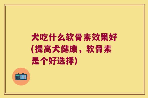 犬吃什么软骨素效果好(提高犬健康,软骨素是个好选择) 犬吃什么软骨素效果好(提高犬健康,软骨素是个好选择)