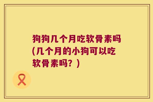 狗狗几个月吃软骨素吗(几个月的小狗可以吃软骨素吗？)
