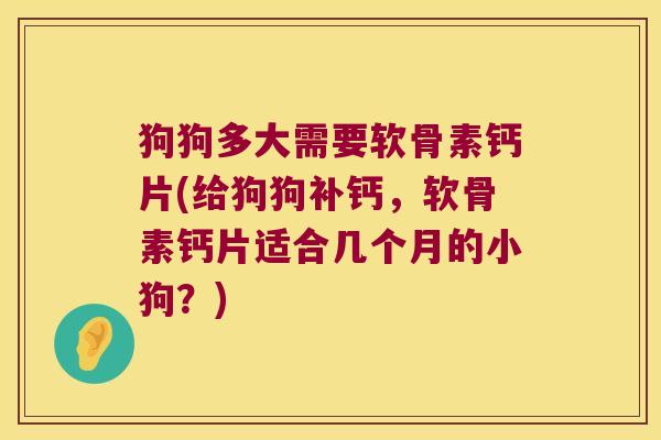 狗狗多大需要软骨素钙片(给狗狗补钙，软骨素钙片适合几个月的小狗？)
