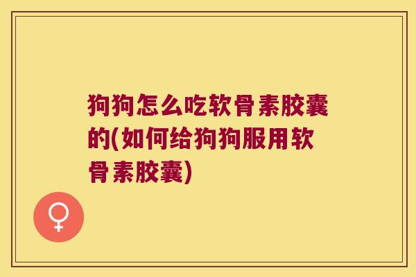 狗狗怎么吃软骨素胶囊的(如何给狗狗服用软骨素胶囊) 狗狗怎么吃软骨素胶囊的(如何给狗狗服用软骨素胶囊)