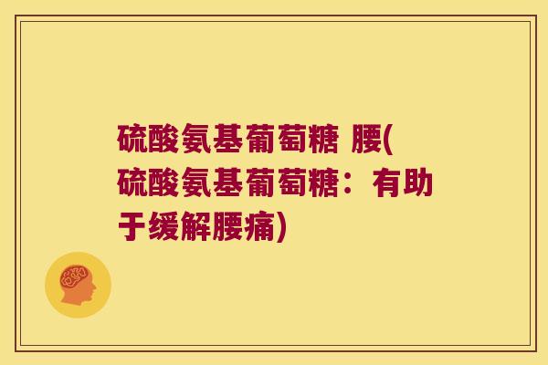 硫酸氨基葡萄糖 腰(硫酸氨基葡萄糖:有助于缓解腰痛) 硫酸氨基葡萄糖 腰(硫酸氨基葡萄糖:有助于缓解腰痛)
