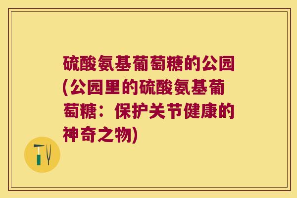 硫酸氨基葡萄糖的公园(公园里的硫酸氨基葡萄糖：保护关节健康的神奇之物)