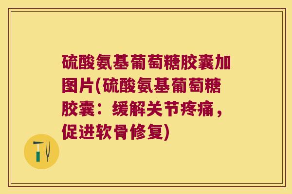 硫酸氨基葡萄糖胶囊加图片(硫酸氨基葡萄糖胶囊：缓解关节，促进软骨修复)