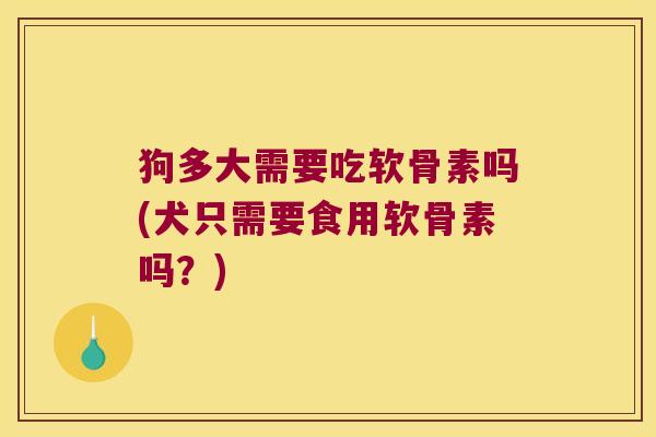 狗多大需要吃软骨素吗(犬只需要食用软骨素吗?) 狗多大需要吃软骨素吗(犬只需要食用软骨素吗?)