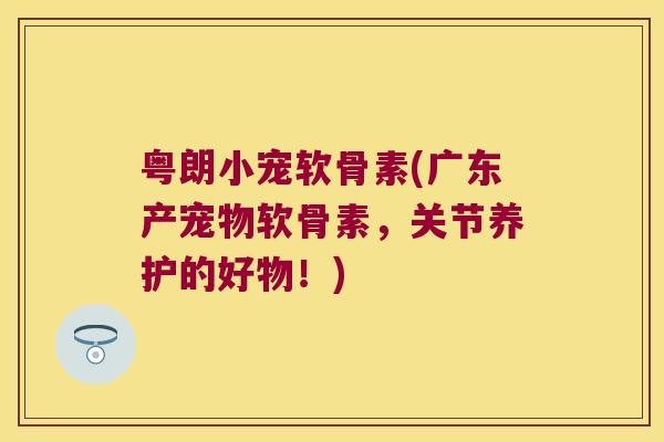 粤朗小宠软骨素(广东产宠物软骨素，关节养护的好物！)
