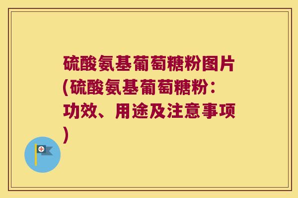 硫酸氨基葡萄糖粉图片(硫酸氨基葡萄糖粉:功效、用途及注意事项) 硫酸氨基葡萄糖粉图片(硫酸氨基葡萄糖粉:功效、用途及注意事项)