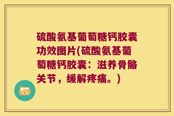 硫酸氨基葡萄糖钙胶囊功效图片(硫酸氨基葡萄糖钙胶囊:滋养骨骼关节,缓解。) 硫酸氨基葡萄糖钙胶囊功效图片(硫酸氨基葡萄糖钙胶囊:滋养骨骼关节,缓解。)