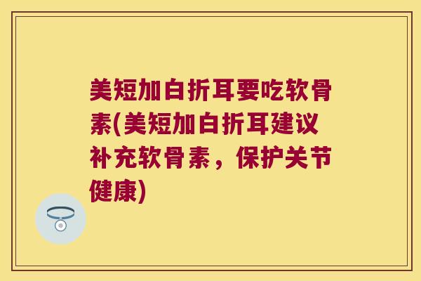 美短加白折耳要吃软骨素(美短加白折耳建议补充软骨素，保护关节健康)