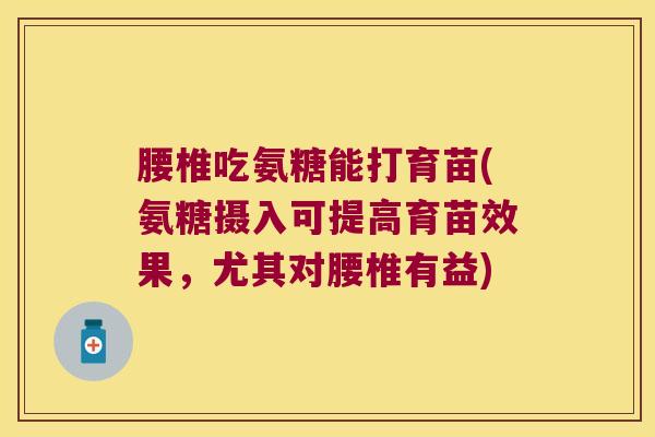 腰椎吃氨糖能打育苗(氨糖摄入可提高育苗效果,尤其对腰椎有益) 腰椎吃氨糖能打育苗(氨糖摄入可提高育苗效果,尤其对腰椎有益)