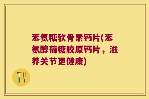 苯氨糖软骨素钙片(苯氨醇葡糖胶原钙片,滋养关节更健康) 苯氨糖软骨素钙片(苯氨醇葡糖胶原钙片,滋养关节更健康)