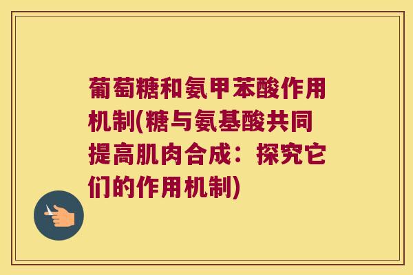 葡萄糖和氨甲苯酸作用机制(糖与氨基酸共同提高肌肉合成：探究它们的作用机制)