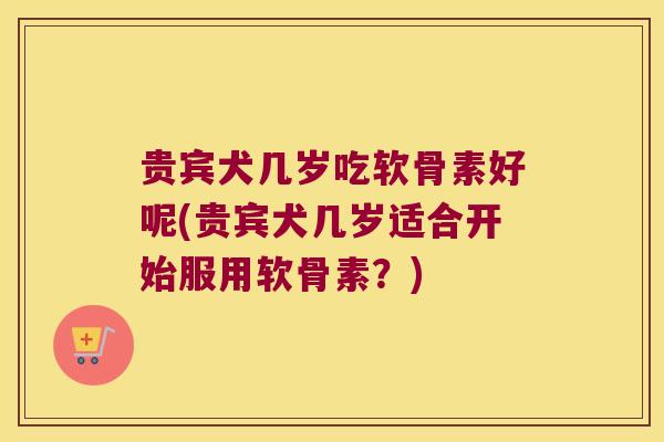 贵宾犬几岁吃软骨素好呢(贵宾犬几岁适合开始服用软骨素？)