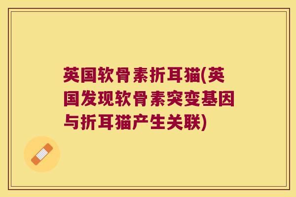 英国软骨素折耳猫(英国发现软骨素突变基因与折耳猫产生关联) 英国软骨素折耳猫(英国发现软骨素突变基因与折耳猫产生关联)