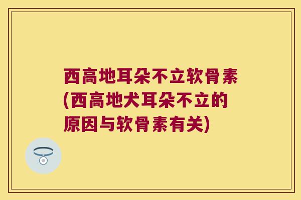 西高地耳朵不立软骨素(西高地犬耳朵不立的原因与软骨素有关) 西高地耳朵不立软骨素(西高地犬耳朵不立的原因与软骨素有关)