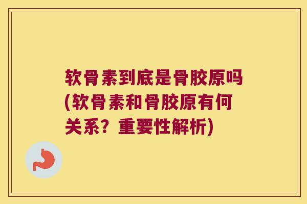 软骨素到底是骨胶原吗(软骨素和骨胶原有何关系?重要性解析) 软骨素到底是骨胶原吗(软骨素和骨胶原有何关系?重要性解析)