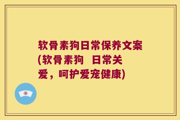 软骨素狗日常保养文案(软骨素狗 日常关爱,呵护爱宠健康) 软骨素狗日常保养文案(软骨素狗 日常关爱,呵护爱宠健康)