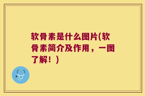 软骨素是什么图片(软骨素简介及作用,一图了解!) 软骨素是什么图片(软骨素简介及作用,一图了解!)