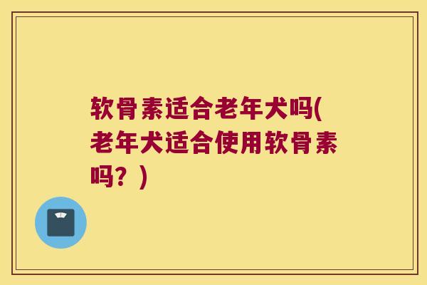 软骨素适合老年犬吗(老年犬适合使用软骨素吗？)