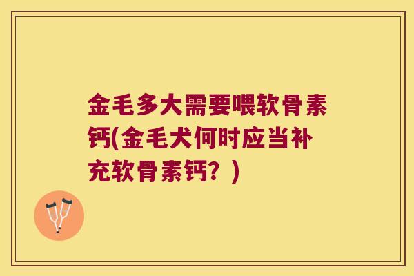 金毛多大需要喂软骨素钙(金毛犬何时应当补充软骨素钙?) 金毛多大需要喂软骨素钙(金毛犬何时应当补充软骨素钙?)
