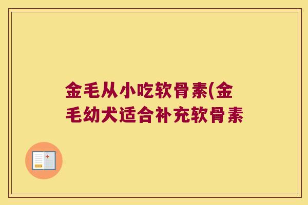 金毛从小吃软骨素(金毛幼犬适合补充软骨素 金毛从小吃软骨素(金毛幼犬适合补充软骨素