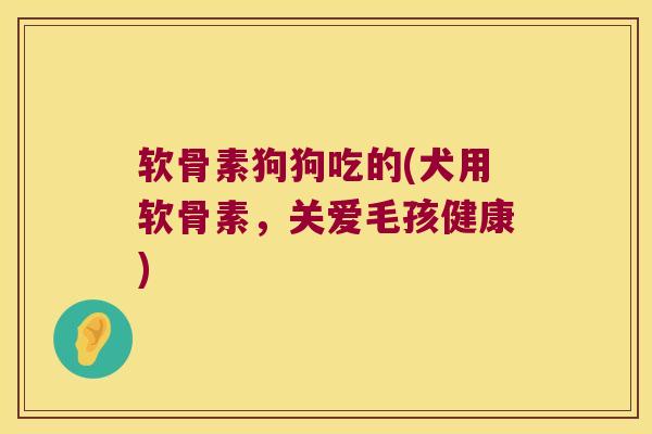 软骨素狗狗吃的(犬用软骨素，关爱毛孩健康)