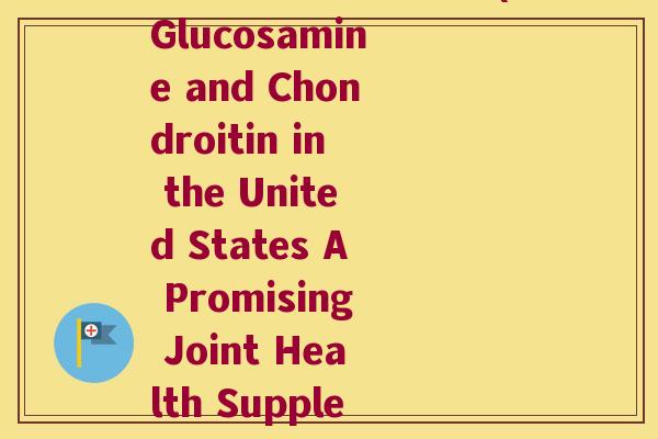 葡萄糖胺软骨素美国(Glucosamine and Chondroitin in the United States A Promising Joint Health Supplement)