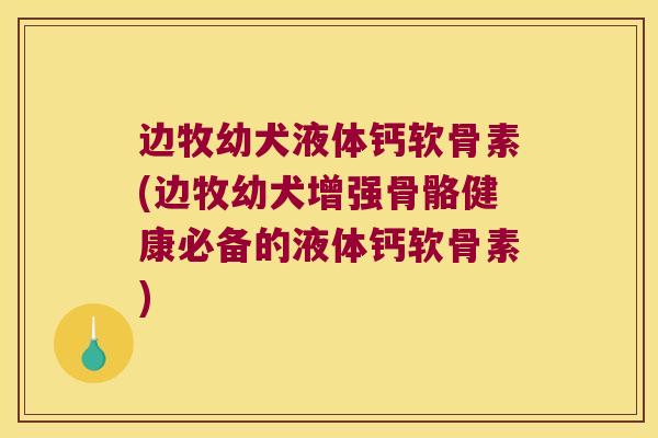 边牧幼犬液体钙软骨素(边牧幼犬增强骨骼健康必备的液体钙软骨素)