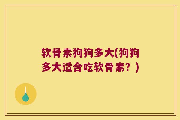 软骨素狗狗多大(狗狗多大适合吃软骨素?) 软骨素狗狗多大(狗狗多大适合吃软骨素?)