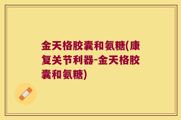 金天格胶囊和氨糖(康复关节利器-金天格胶囊和氨糖) 金天格胶囊和氨糖(康复关节利器-金天格胶囊和氨糖)