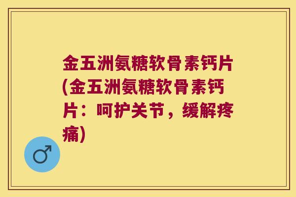 金五洲氨糖软骨素钙片(金五洲氨糖软骨素钙片:呵护关节,缓解) 金五洲氨糖软骨素钙片(金五洲氨糖软骨素钙片:呵护关节,缓解)