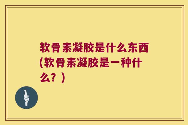 软骨素凝胶是什么东西(软骨素凝胶是一种什么？)