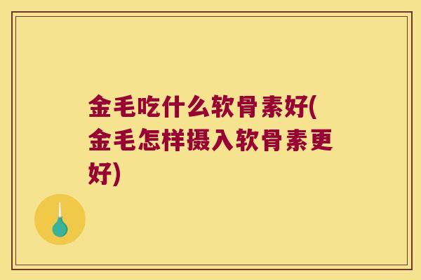 金毛吃什么软骨素好(金毛怎样摄入软骨素更好)