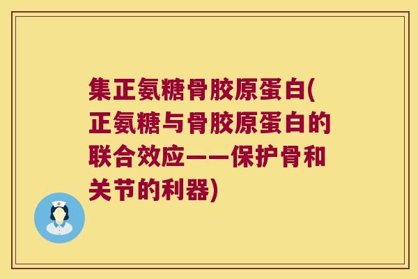 集正氨糖骨胶原蛋白(正氨糖与骨胶原蛋白的联合效应——保护骨和关节的利器)