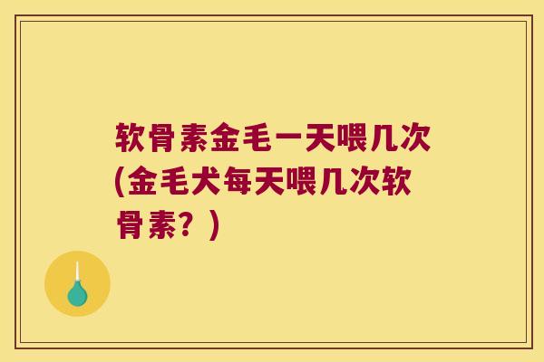 软骨素金毛一天喂几次(金毛犬每天喂几次软骨素？)