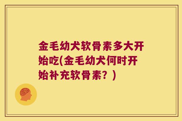 金毛幼犬软骨素多大开始吃(金毛幼犬何时开始补充软骨素？)