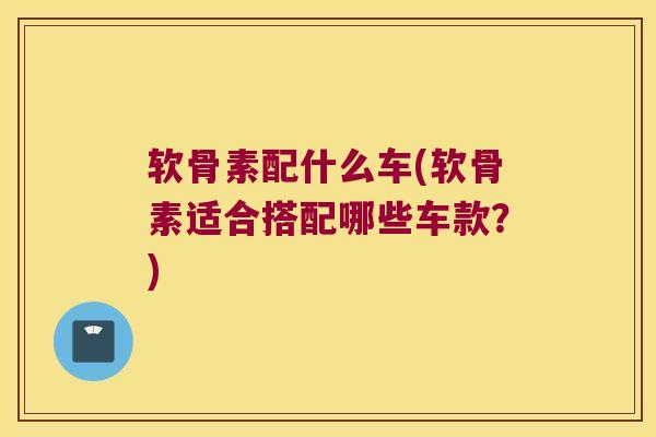 软骨素配什么车(软骨素适合搭配哪些车款？)