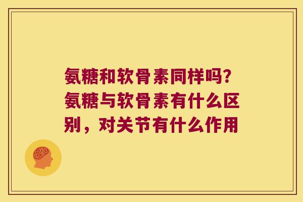 氨糖和软骨素同样吗？氨糖与软骨素有什么区别，对关节有什么作用